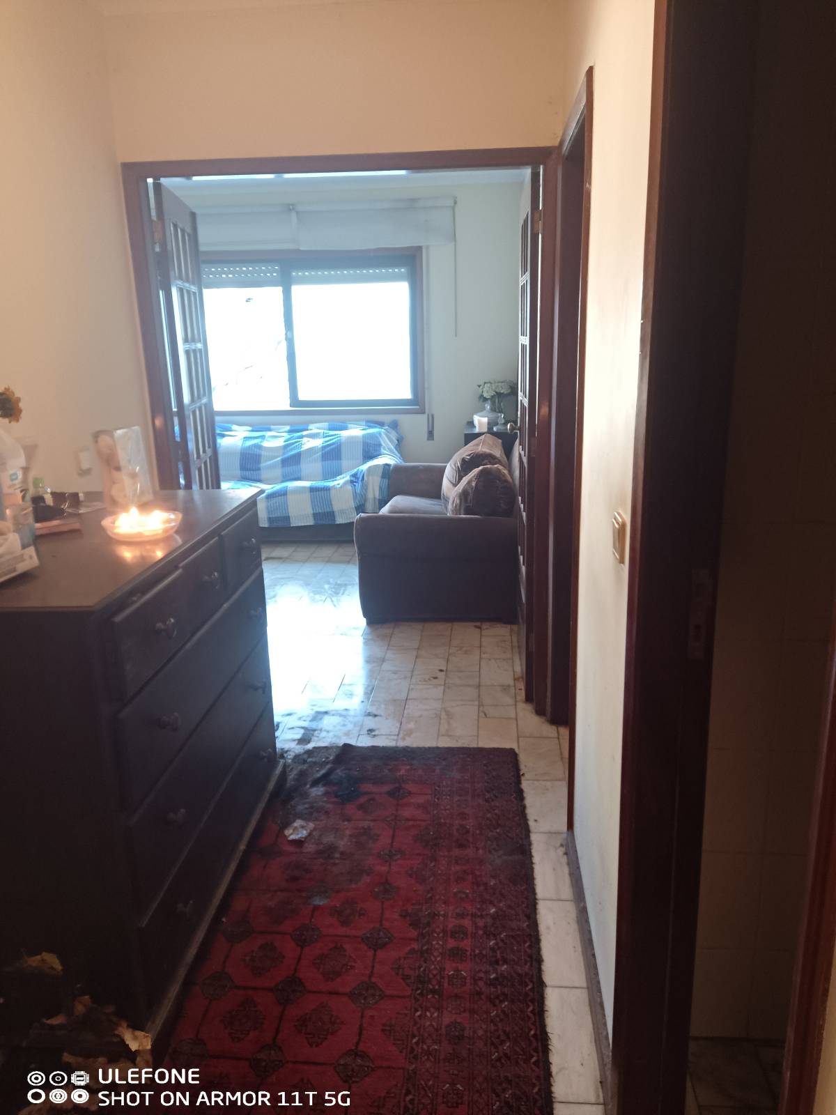 Miguel - Maia - Jardinagem