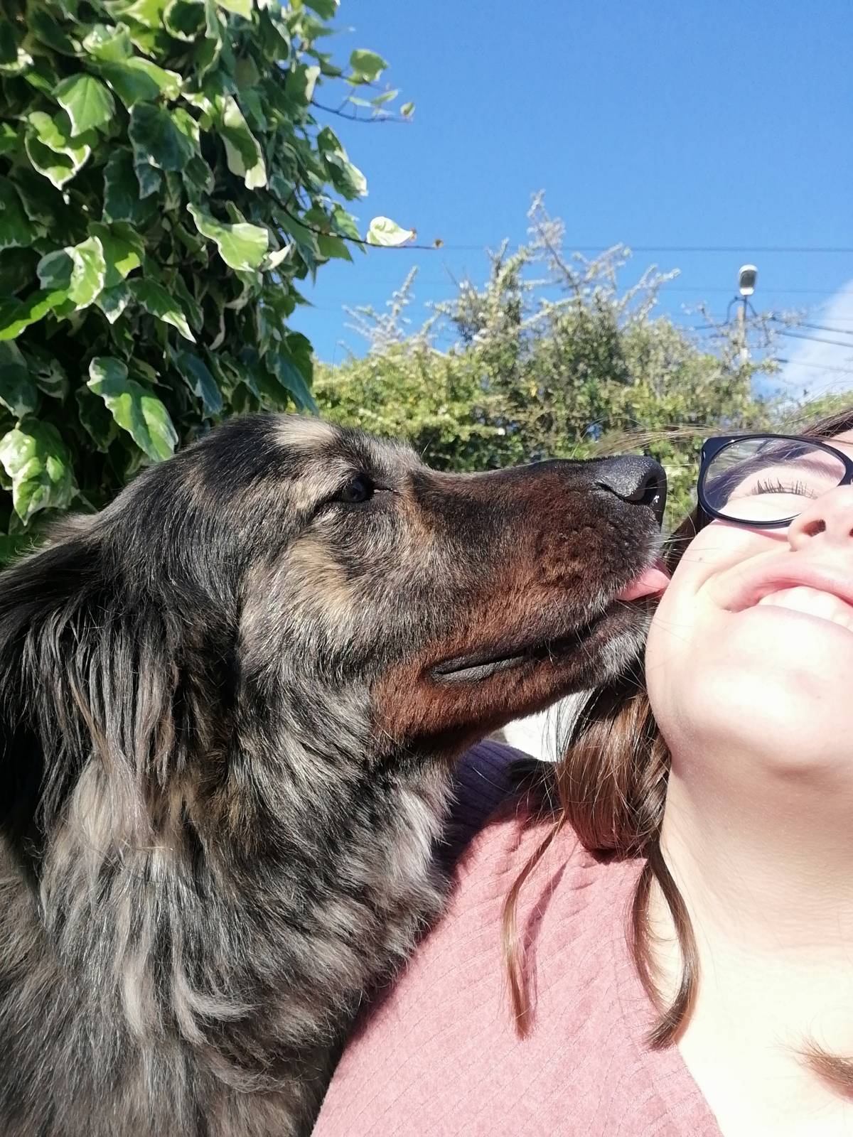 Sara petsitting - Abrantes - Cuidar tus perros
