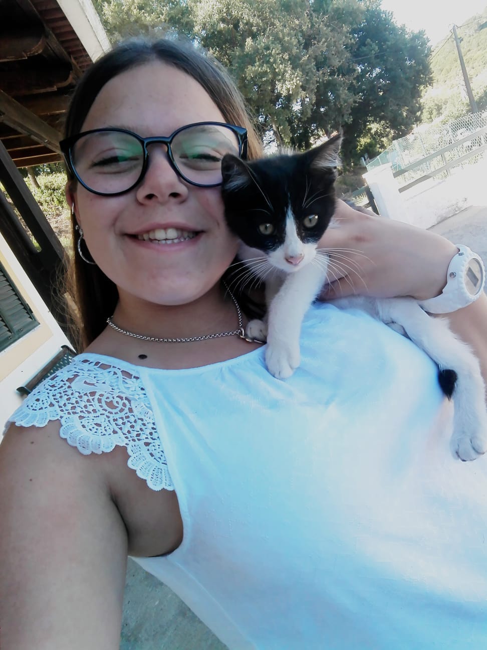 Sara petsitting - Abrantes - Pet Sitting