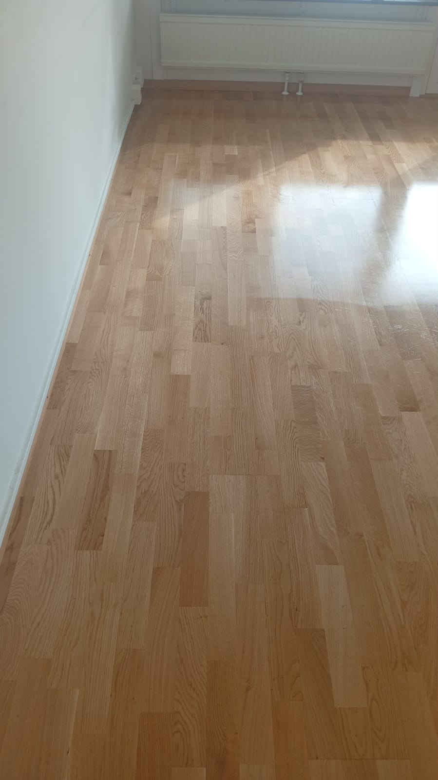 christbomat cleaning service - Lisboa - Grundreinigung oder Frühjahrsputz