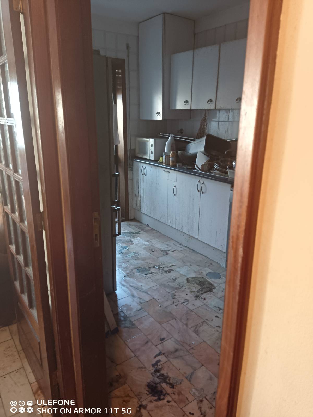 Miguel - Maia - Jardinagem e Relvados