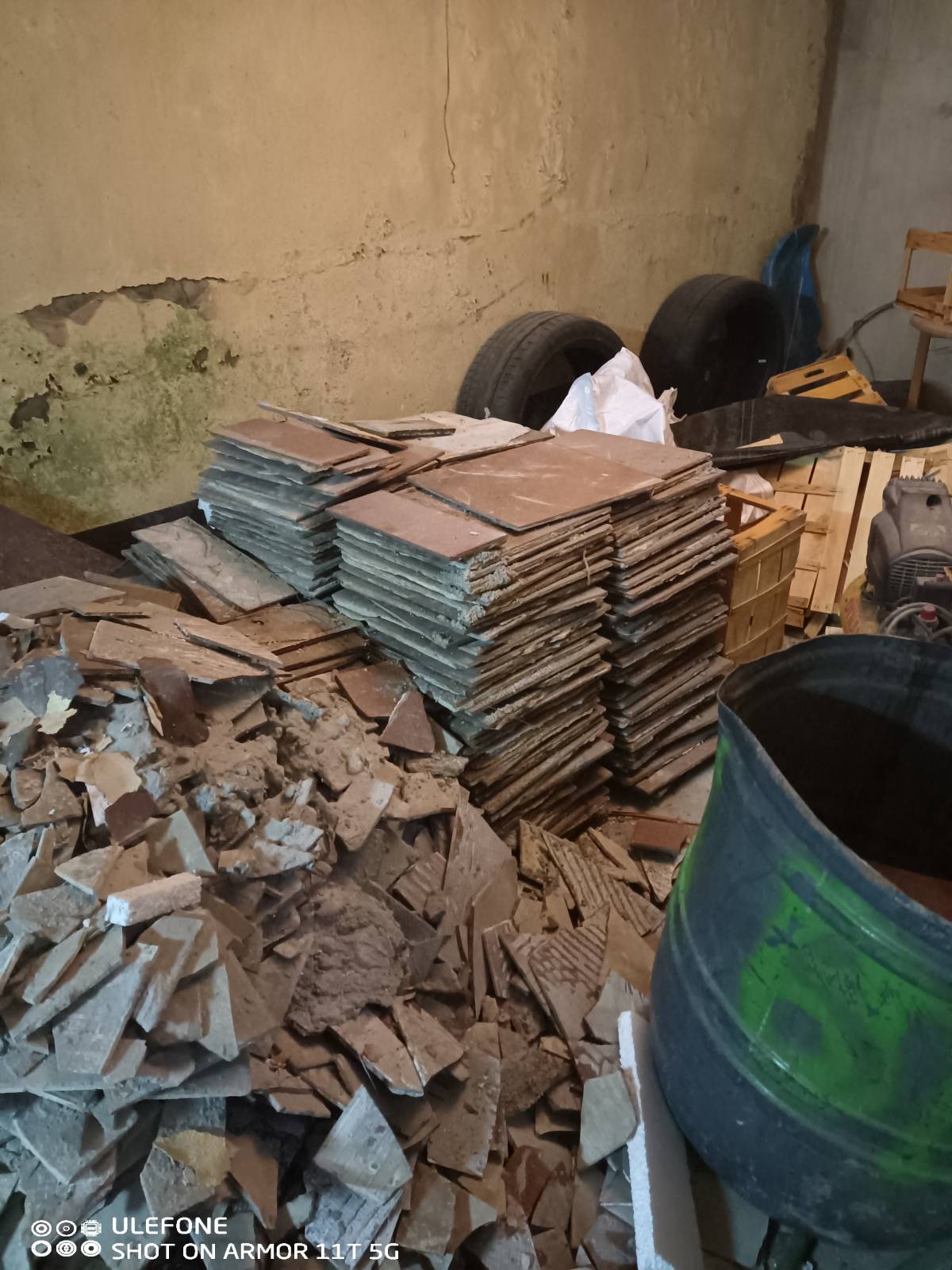 Miguel - Maia - Remoção de Tronco de Árvore