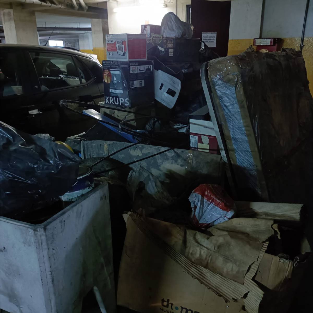 Miguel - Maia - Poda e Manutenção de Árvores