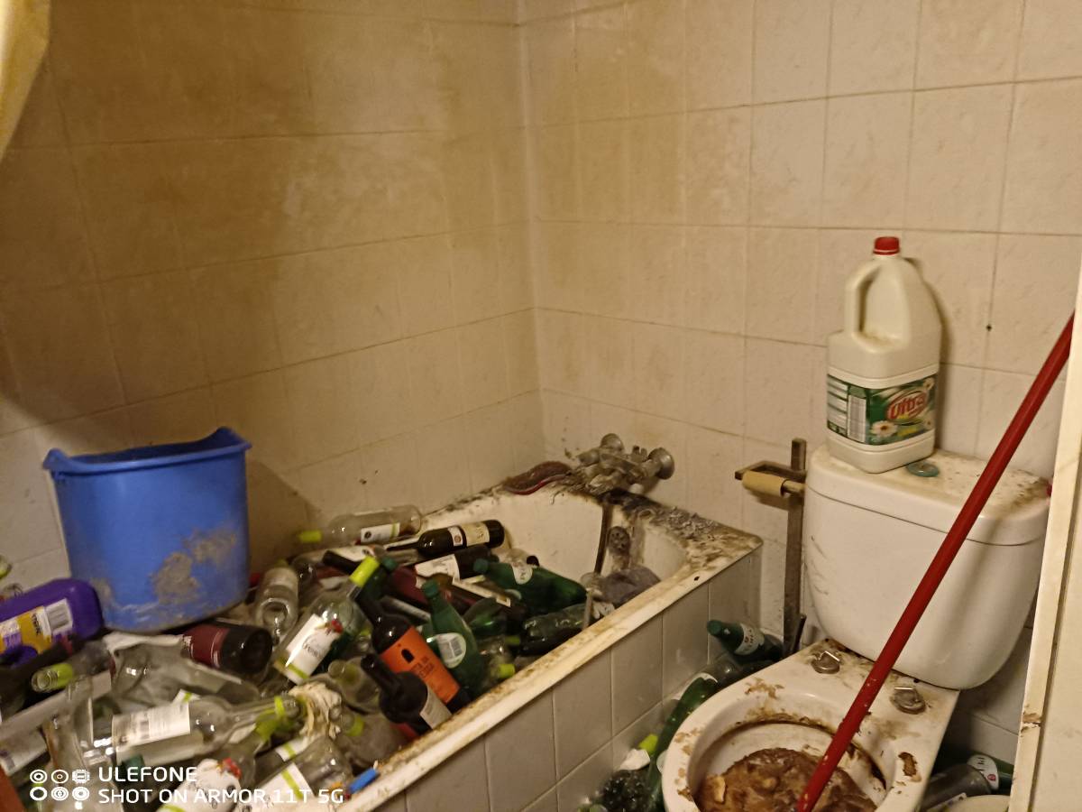 Miguel - Maia - Pintura