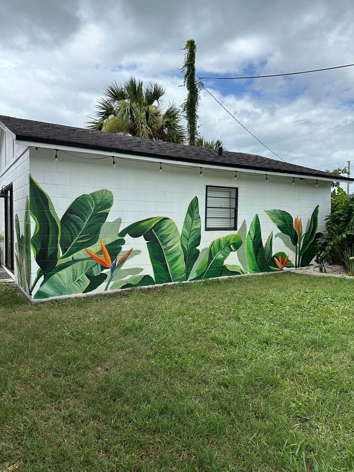 Macaw Paint - Aveiro - Exterior Painting