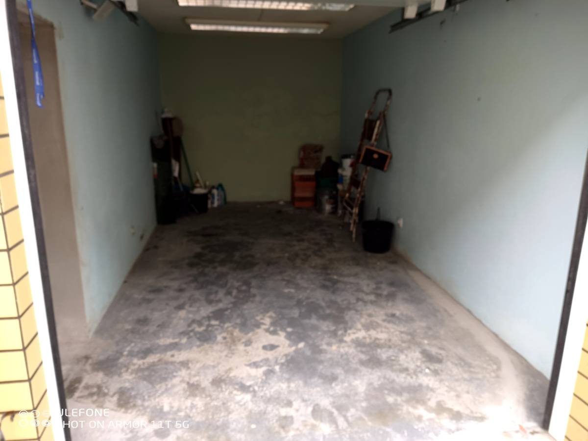 Miguel - Maia - House Movers (under 50 miles)