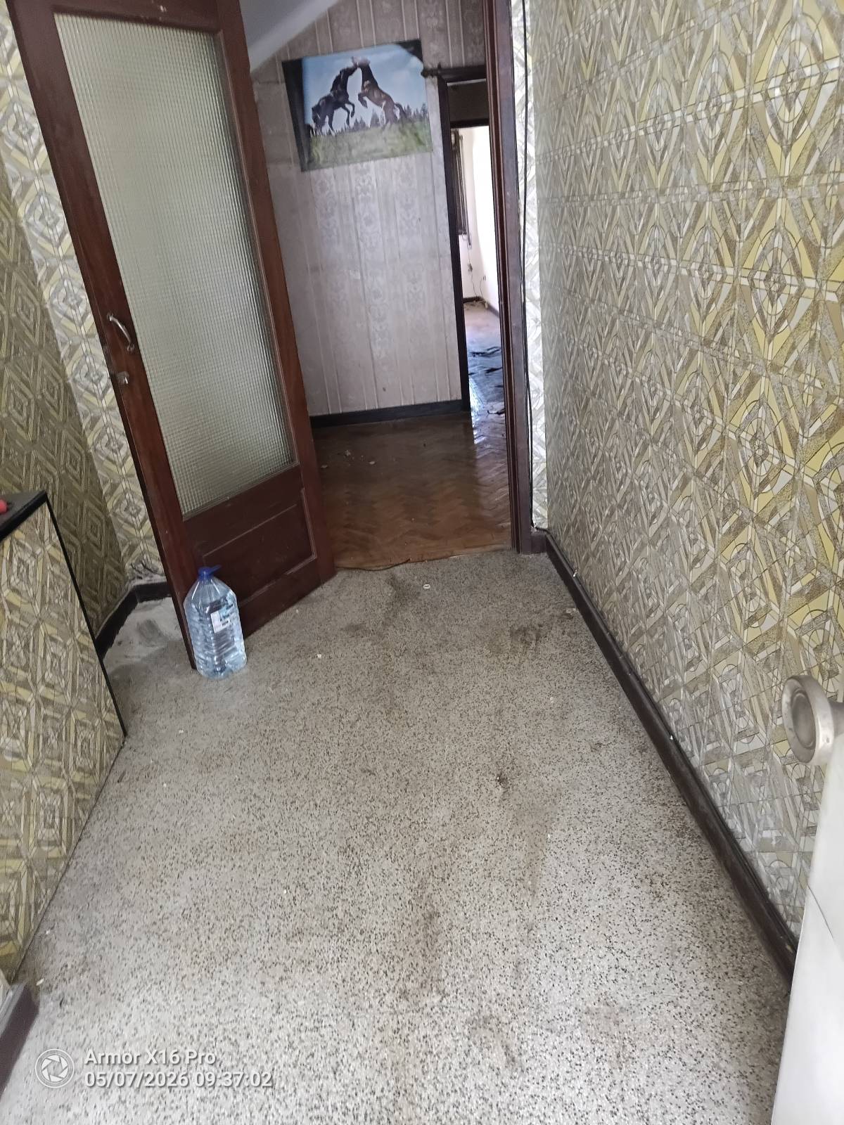 Miguel - Maia - House Movers (under 50 miles)