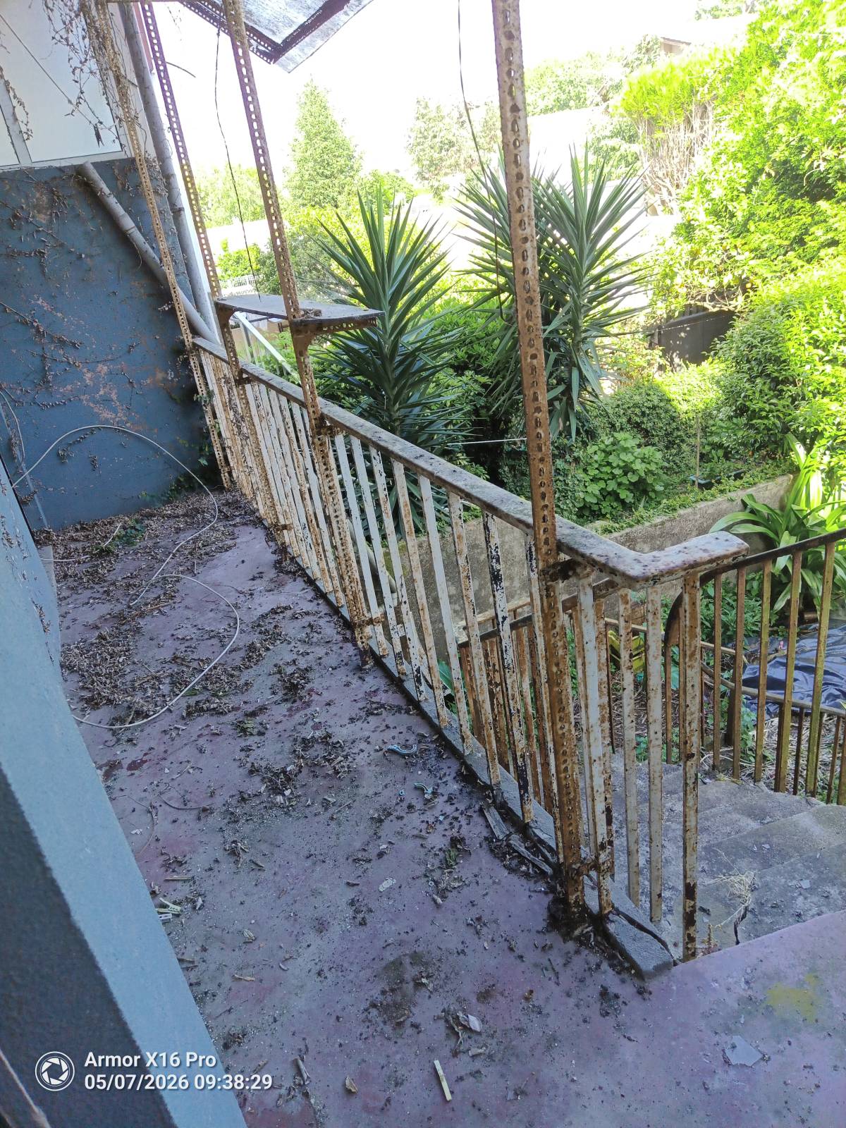 Miguel - Maia - Waste Removal