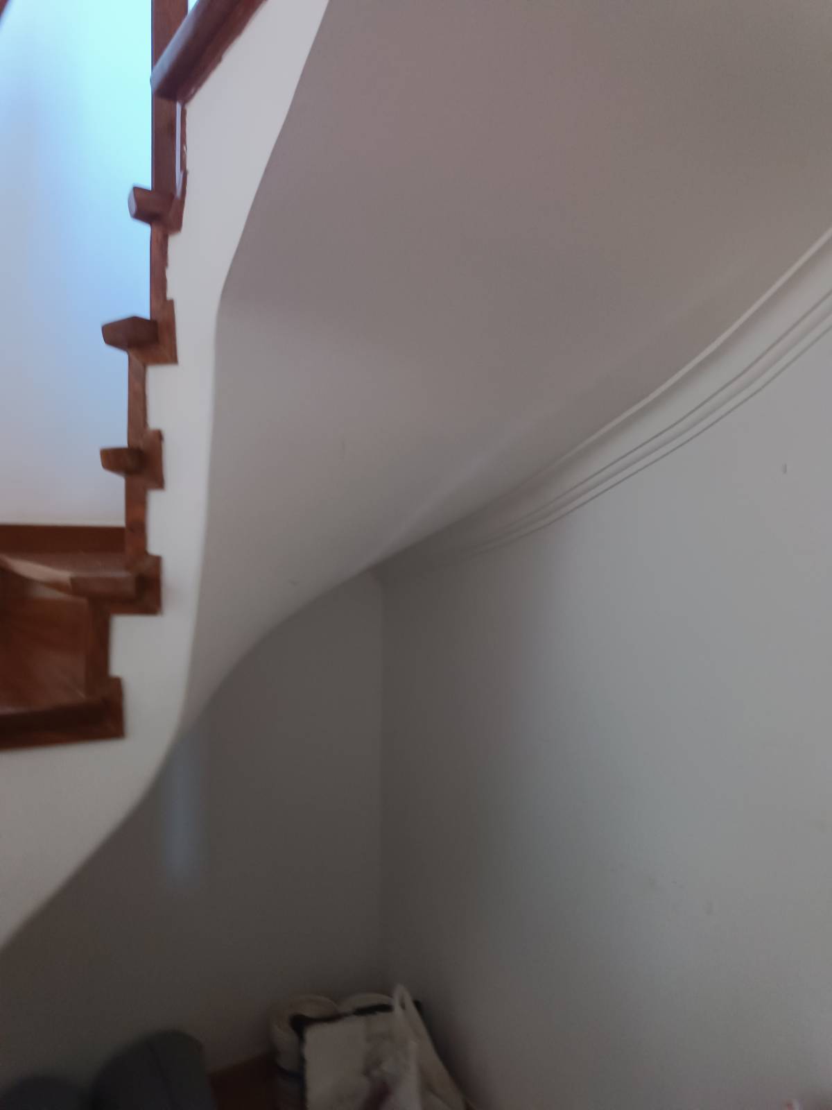 Wanderson Remodelações - Entroncamento - Élagage et entretien des arbres