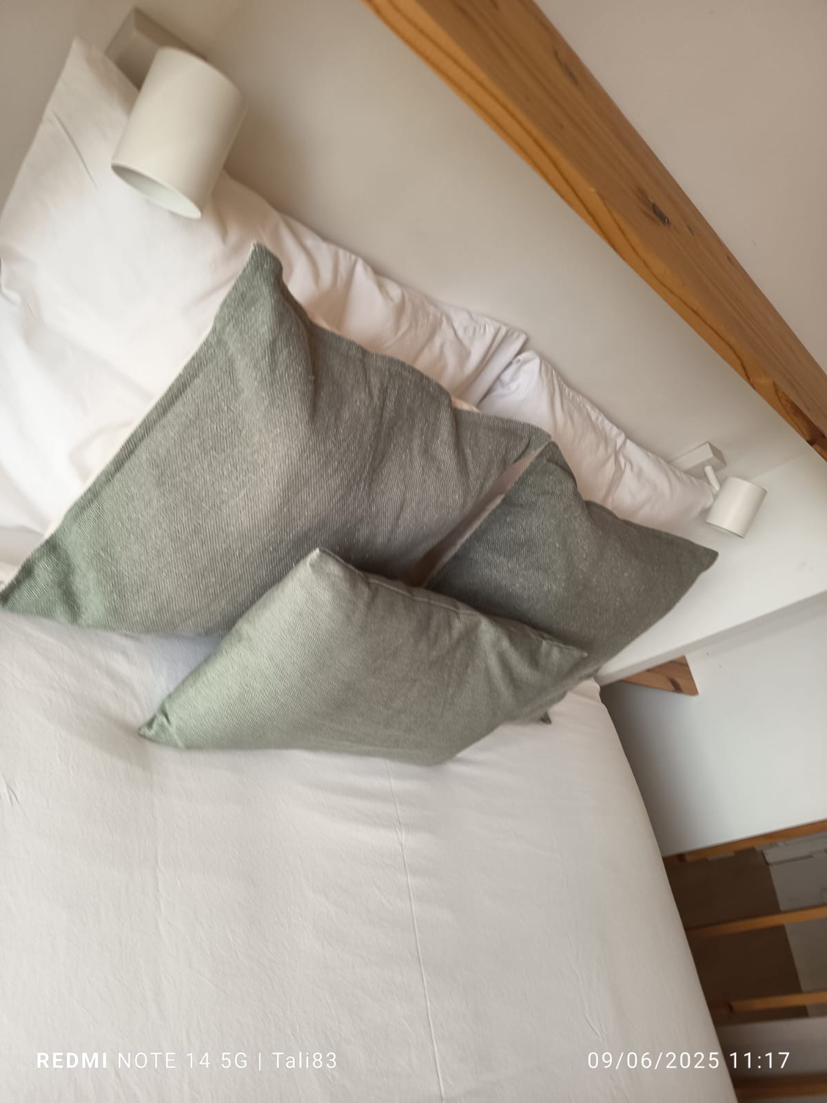 Sheurly limpeza - Loures - Domestic Work