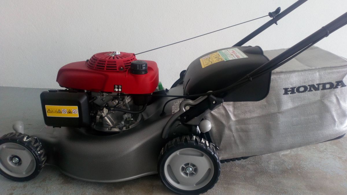 Hélder Gomes - Paços de Ferreira - Tree Stump Grinding and Removal