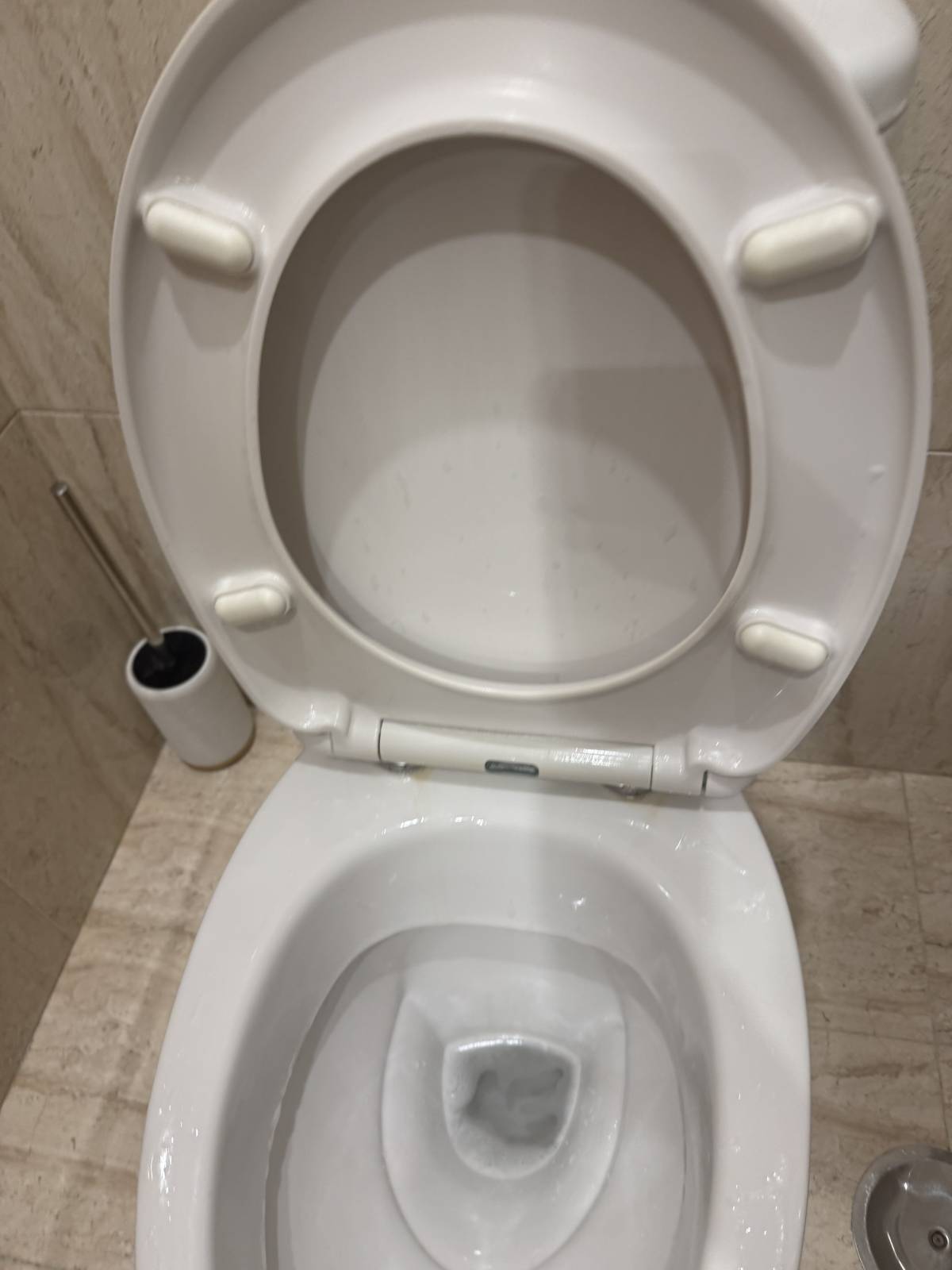 Sheurly limpeza - Loures - Serviço Doméstico