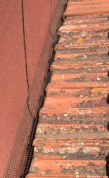 Roof Installation Professional