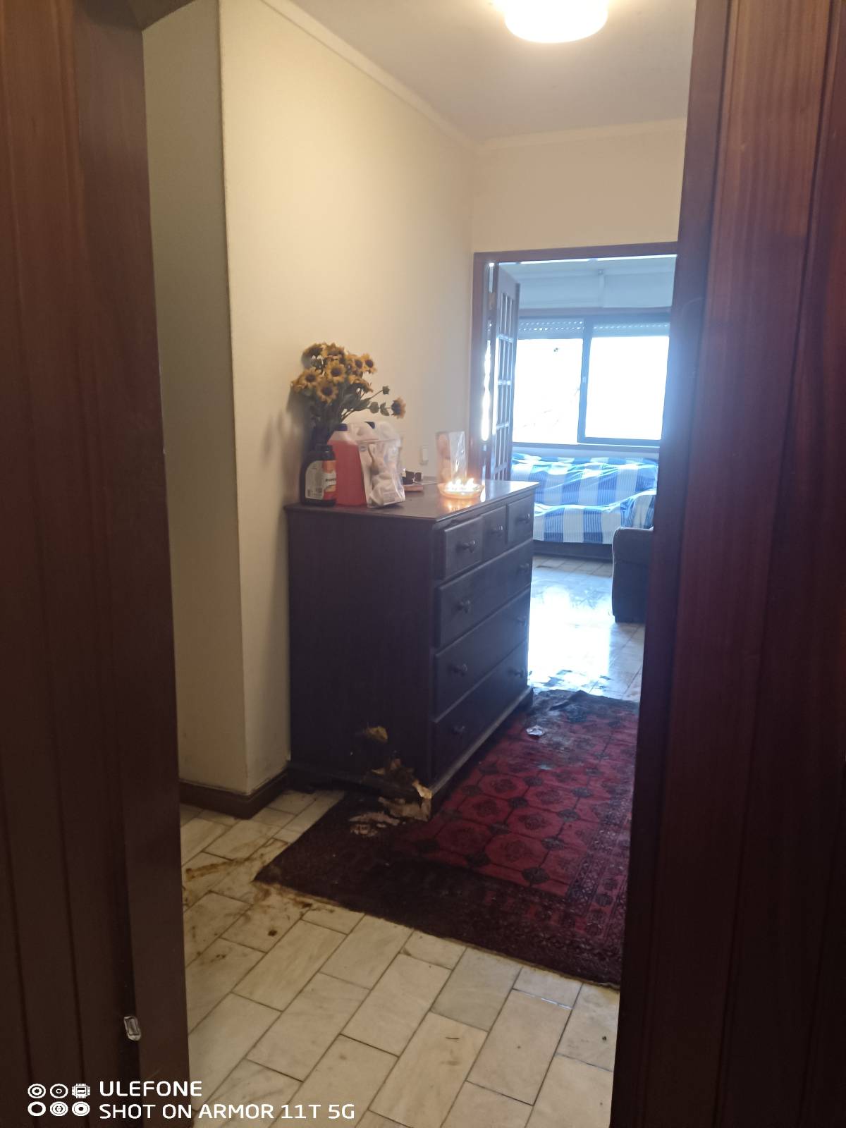 Miguel - Maia - Remoção de Ervas Daninhas