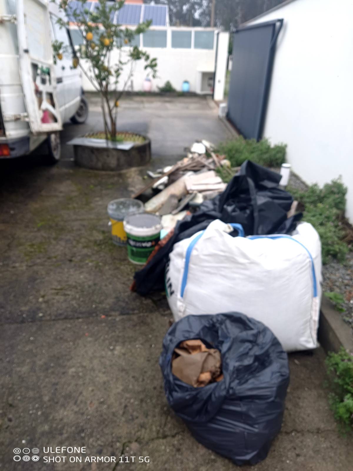 Miguel - Maia - Shrub Removal