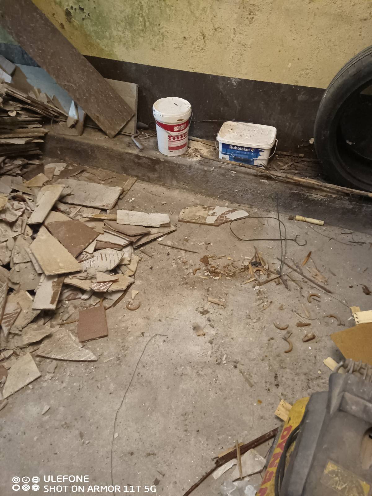 Miguel - Maia - Poda e Manutenção de Árvores