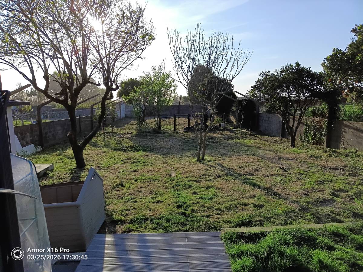 Miguel - Maia - Tree Stump Grinding and Removal