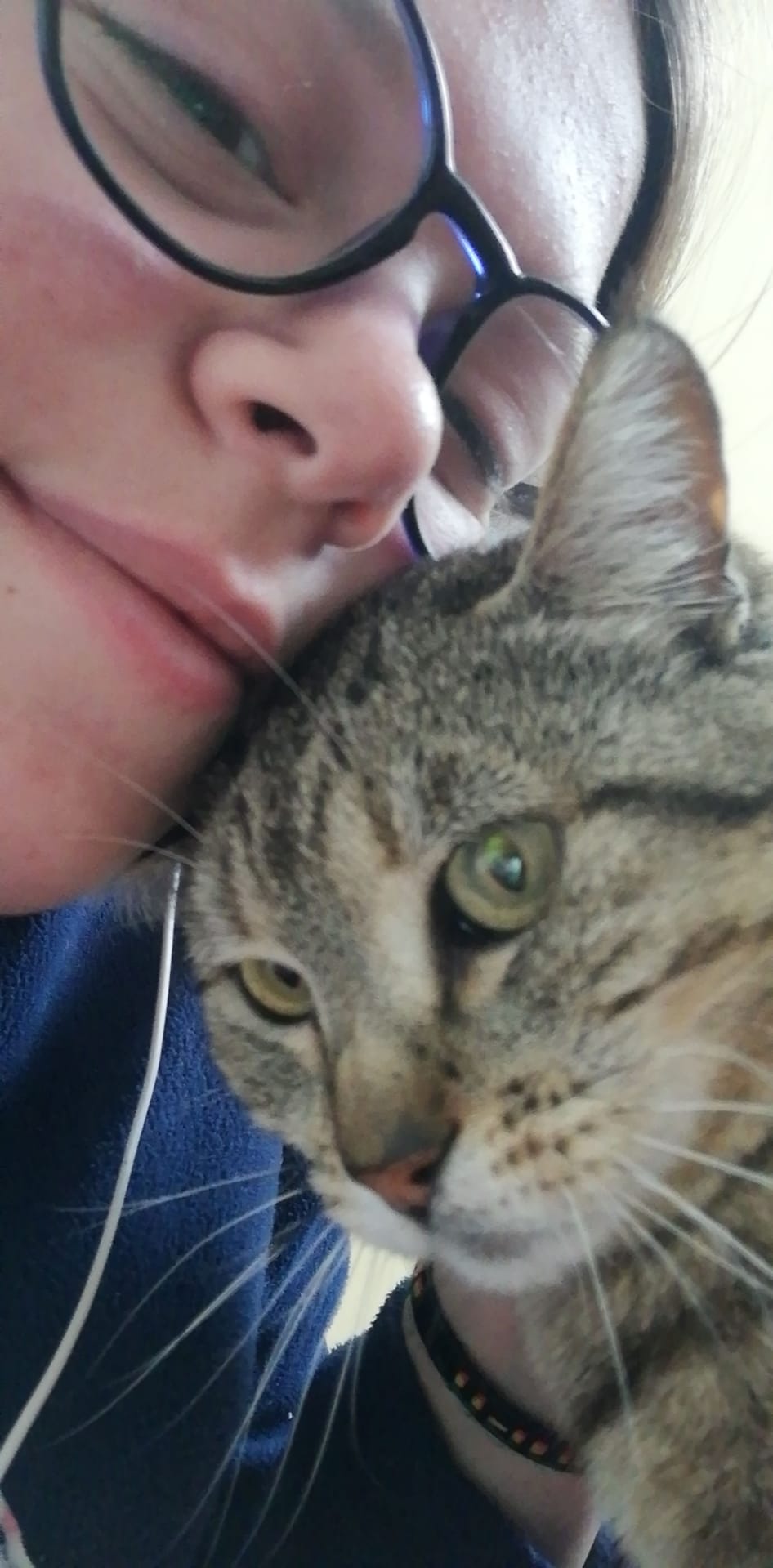 Sara petsitting - Abrantes - Cuidar tus gatos