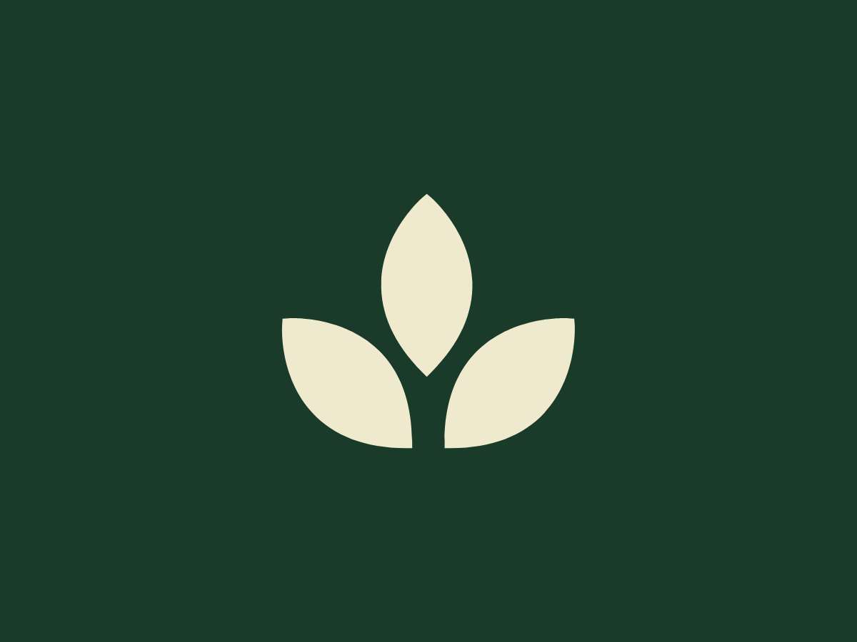 Rodrigo Lang - Braga - Acupuncture