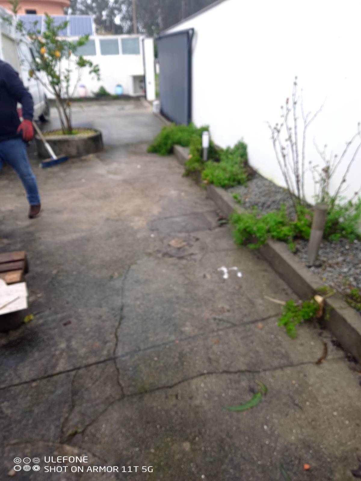 Miguel - Maia - Multi Service Lawn Care