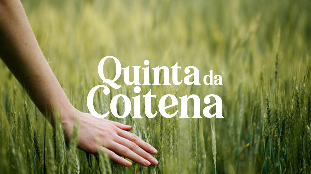 Adriana Oliveira - Coimbra - Publicidad