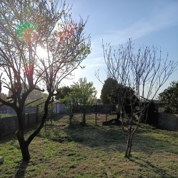 Miguel - Maia - Land Clearance