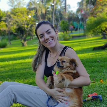 Sofia - Castelo Branco - Hundeausführung