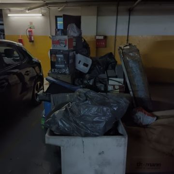 Miguel - Maia - Remoção de Tronco de Árvore