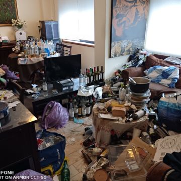 Miguel - Maia - Plantação de Árvores