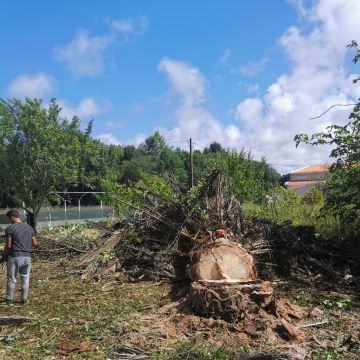 Additions and Remodels - Miguel - Maia