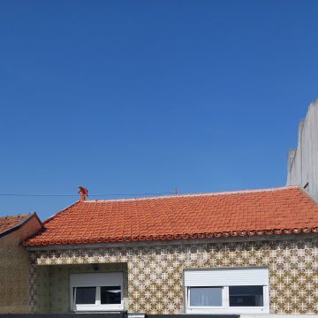 Fábio Chipelo - Murtosa - Home Waterproofing