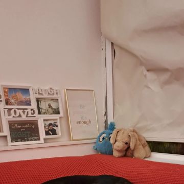 Maria Fonseca - Cascais - Cuidar tus gatos
