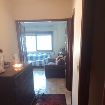 Miguel - Maia - Jardinagem