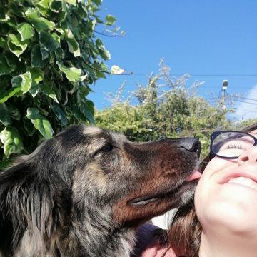 Sara petsitting - Abrantes - Cuidar tus perros