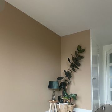 Macaw Paint - Aveiro - Cabinet Painting