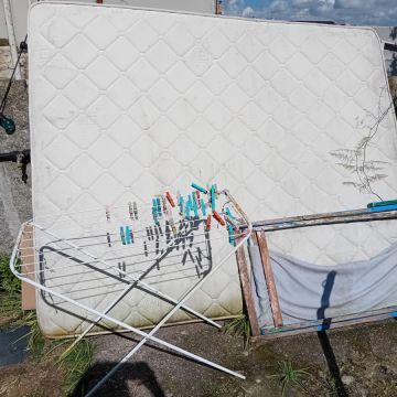 Miguel - Maia - Remoção de Tronco de Árvore