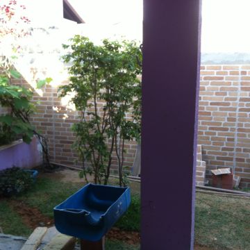Gabriel fanzeres - Caminha - Architecte
