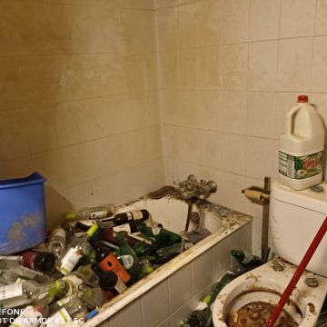 Miguel - Maia - Pintura