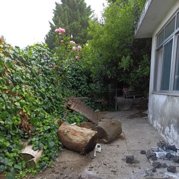 Miguel - Maia - Land Clearance