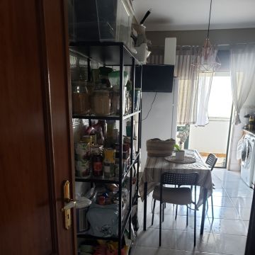Suelysilva - Lisboa - Baths and Grooming for Animals