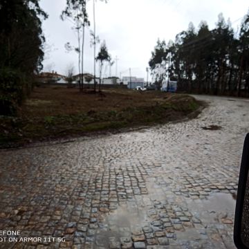 Miguel - Maia - Land Clearance