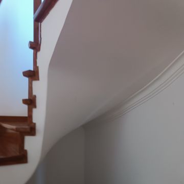 Wanderson Remodelações - Entroncamento - Élagage et entretien des arbres