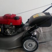 Hélder Gomes - Paços de Ferreira - Tree Stump Grinding and Removal