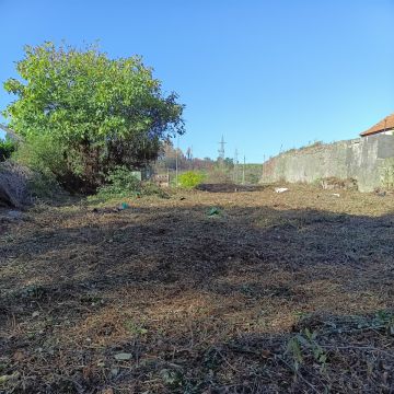Miguel - Maia - Jardinería
