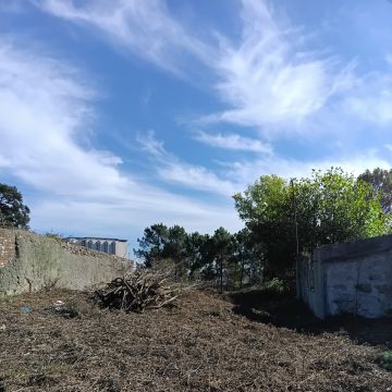 Miguel - Maia - Adiciones y remodelaciones