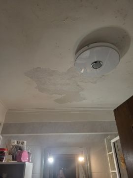 Stucco Specialist