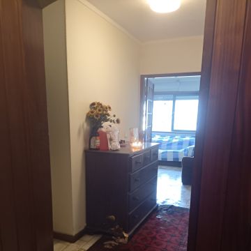 Miguel - Maia - Remoção de Ervas Daninhas