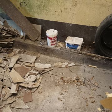 Miguel - Maia - Poda e Manutenção de Árvores