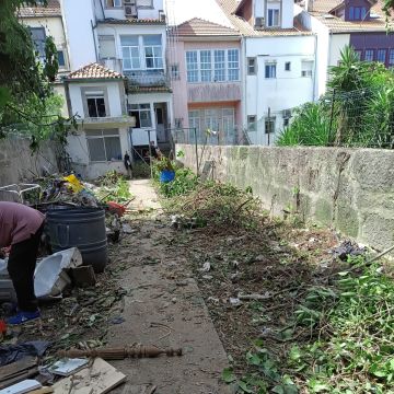 Miguel - Maia - Shrub Removal