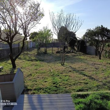 Miguel - Maia - Tree Stump Grinding and Removal